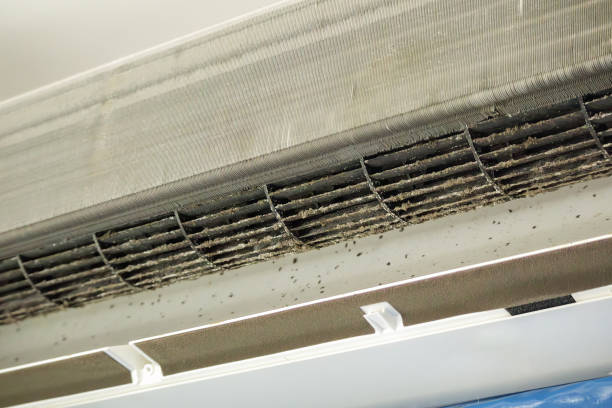 Best Ventilation Cleaning Services  in Lagrange, GA